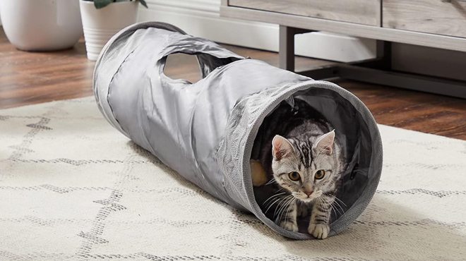 Indoor Cat Tunnel with Ball Toy 2