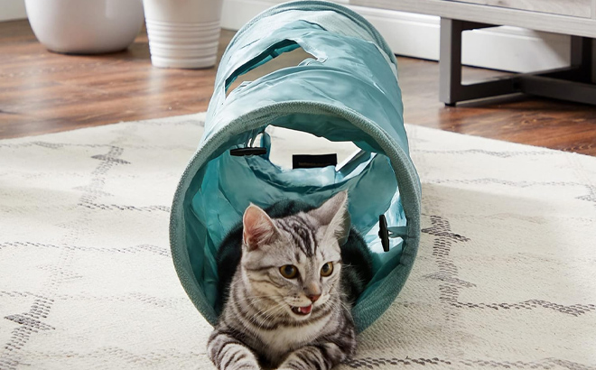 Indoor Cat Tunnel with Ball Toy