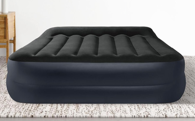 Intex Queen Air Mattress