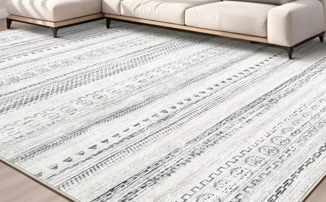 Kakania Washable Area Rug in Grey Color