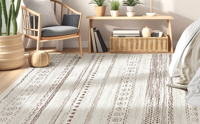 Kakania Washable Area Rug