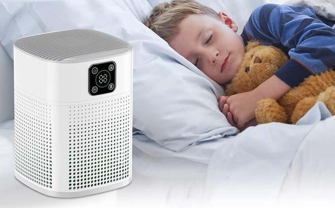 Large Room Air Purifier