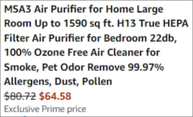 Large Room HEPA Air Purifier checkout page