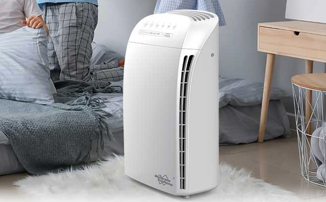 Large Room HEPA Air Purifier