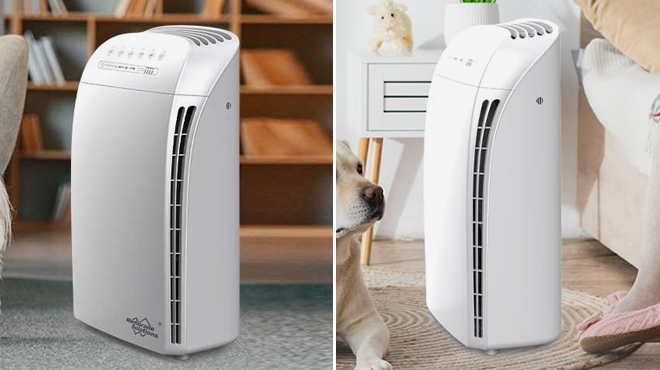 Large Room HEPA Air Purifiers