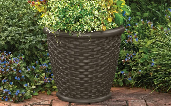 Large Suncast Pot Planter