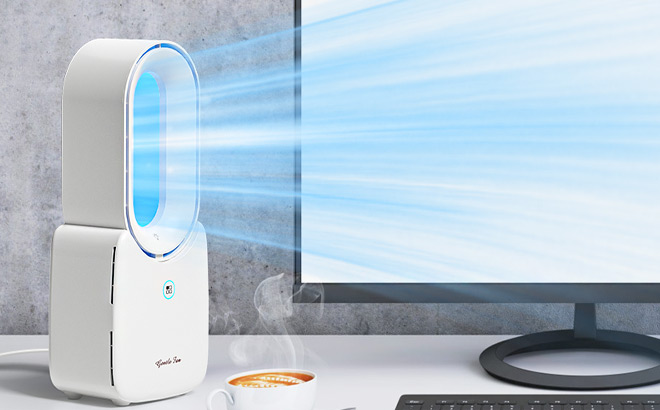 Letme Portable Desk Fan