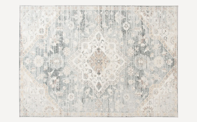 Mainstays 17x30 Persian Medallion Indoor Accent Rug