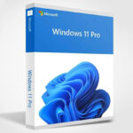 Microsoft Windows 11 Pro Lifetime Product Key