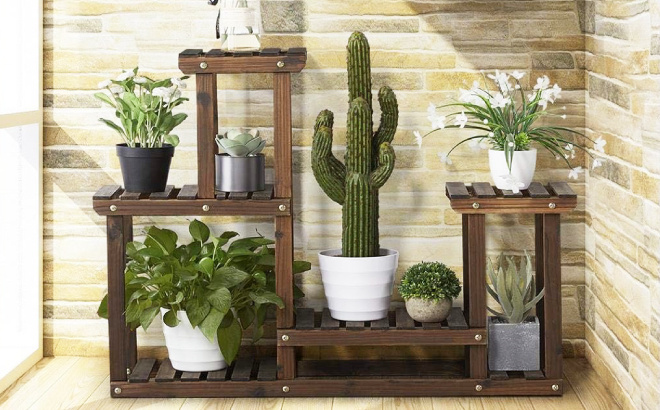 Multi Tiered Plant Stand