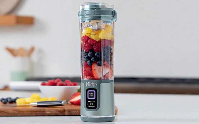 Ninja Blast 18 Ounce Portable Blender