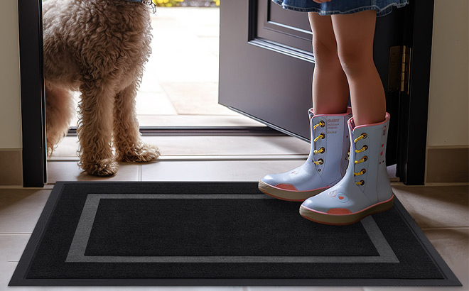 Olanly Front Door Mat