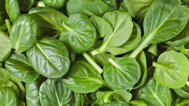 Organic Baby Spinach Salad