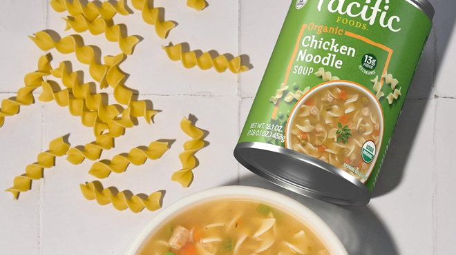 Pacific Foods Chicken Noodle Soup 16 1 oz