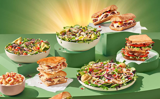 Panera Food Overview