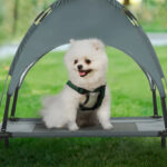 PawHut 30 Inch Elevated Dog Bed with Removable Canopy