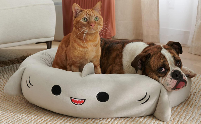 Pets resting on a Squishmallows 20 Inch Gordon Shark Pet Bed