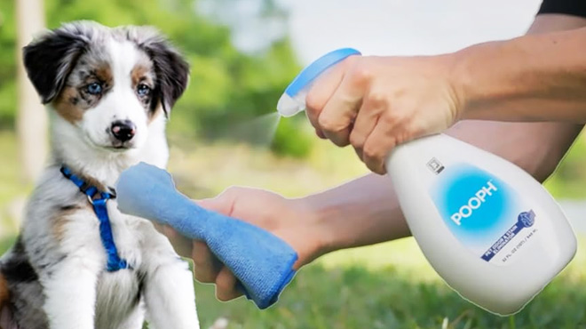 Pooph Pet Odor Eliminator