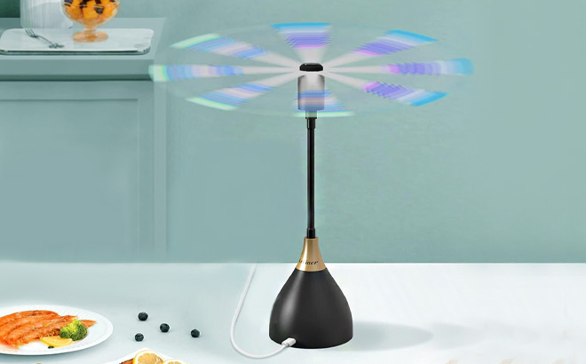 Portable Fly Fans 3 Pack