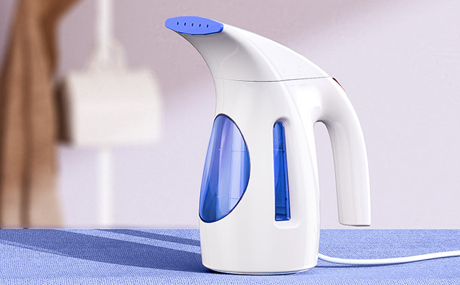 Portable Handheld Steamer