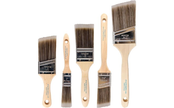 Pro Grade 5 Piece Paint Brush Set