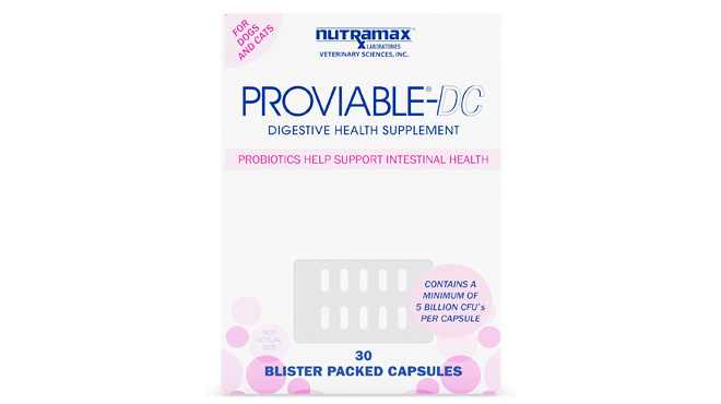 Proviable Digestive Health Supplement