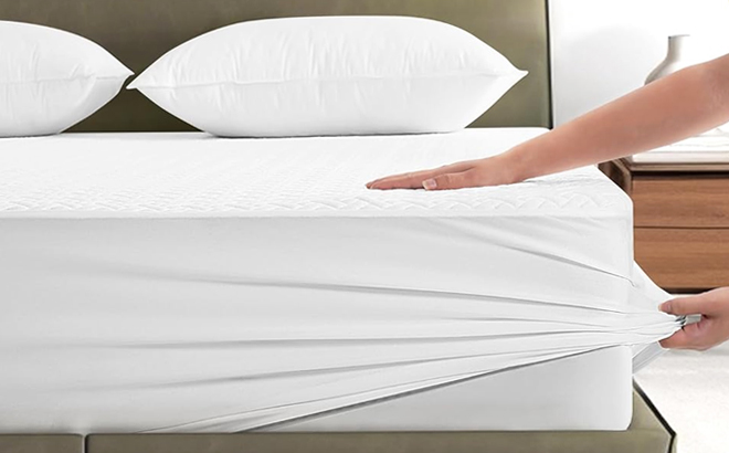 Queen Waterproof Mattress Protector