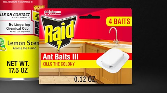 Raid Ant Killer 4 Pack