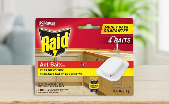 Raid Ant Killer Baits 4 Pack