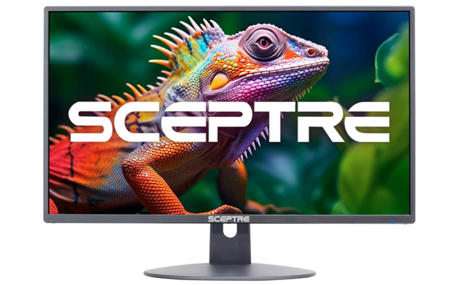 Sceptre 24 inch Professional Thin 1080p LED Monitor 99 sRGB 2x HDMI VGA Build in Speakers