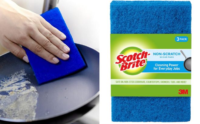 Scotch Brite Scouring Pads