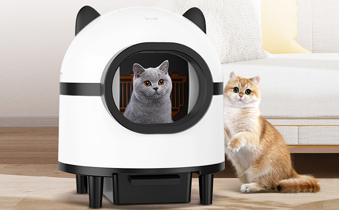 Self Cleaning Cat Litter Box with Two Cats