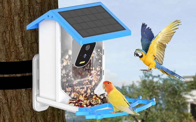 Smart Bird Feeder with Camera Solar Powered on the Tree