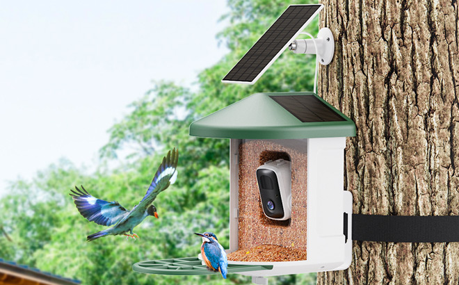 Smart Bird House with Cam on the Tree