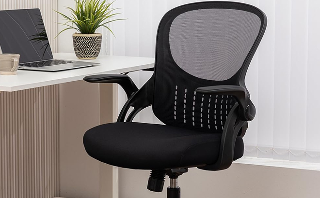 Smug Ergonomic Swivel Office Computer Desk Chair