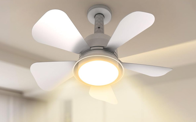 Socket Fan Light Ceiling Fan