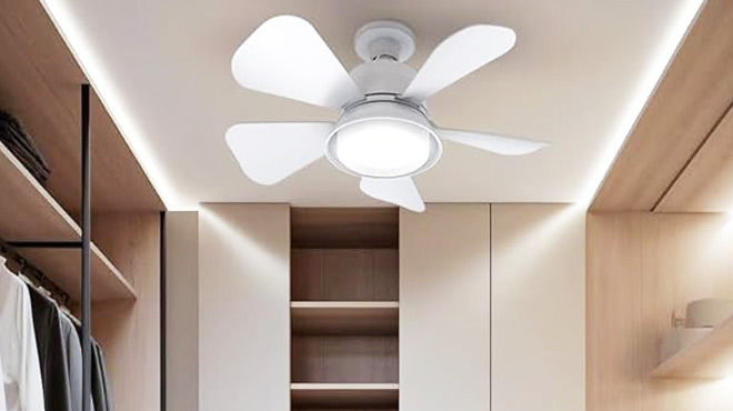 Socket Light Ceiling Fan