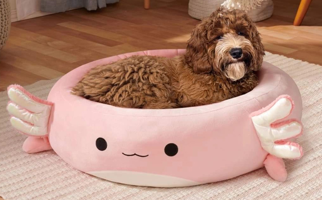 Squishmallows 20 Inch Archie the Axolotl Pet Bed