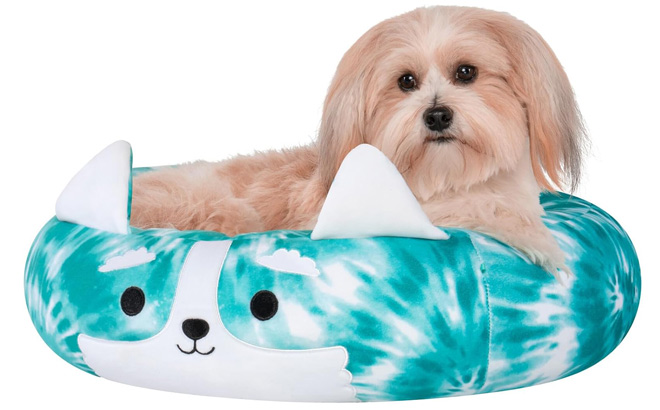 Squishmallows 20 Inch Halver The Corgi Pet Bed