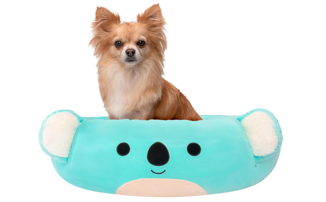 Squishmallows 20 Inch Kevin The Koala Pet Bed