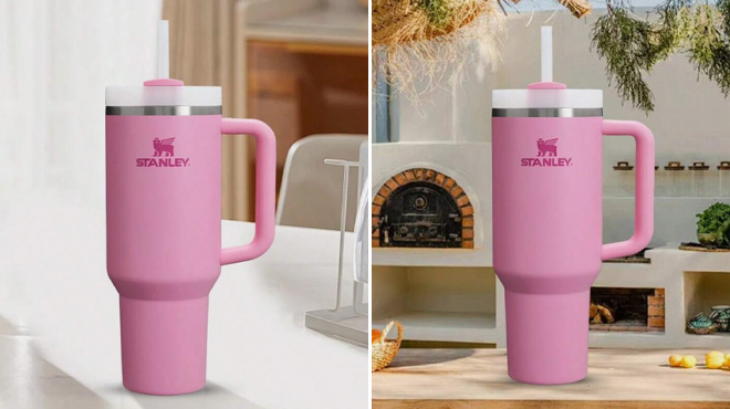 Stanley Stainless Steel H2 0 Insulated Tumbler