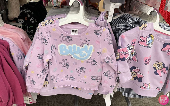 Toddler Girls Bluey Elevated Fleece Pullover at Target