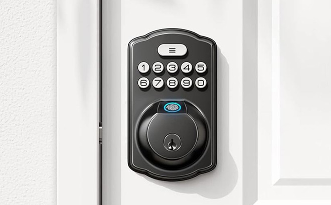 Veise Fingerprint Door Lock