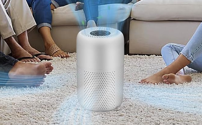 Vhoiu HEPA Air Purifier