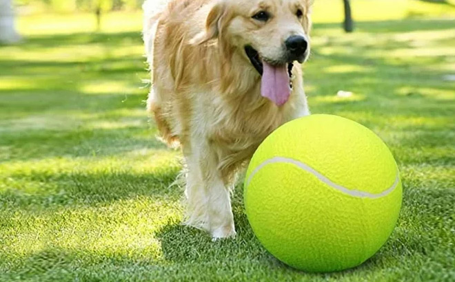 Waloo Pets Giant Tennis Ball