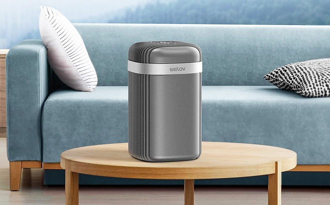 Welov Air Purifier