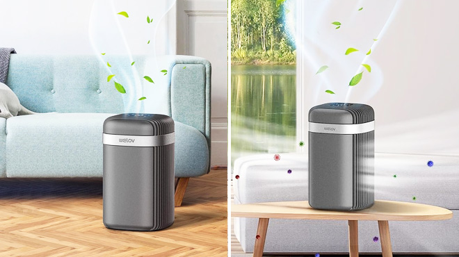 Welov Air Purifiers