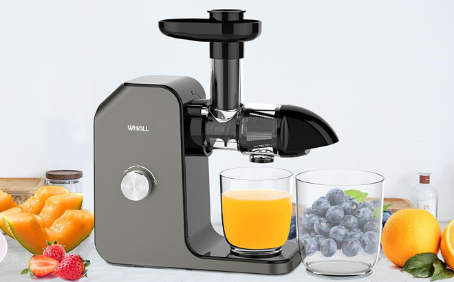 Whall Slow Juicer