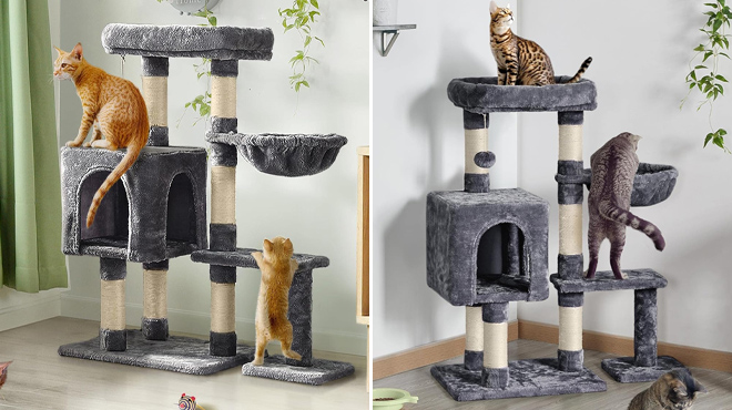 Yaheetech 38 inch Cat Trees