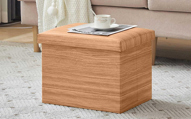 Youdenova Foldable Storage Ottoman Cube